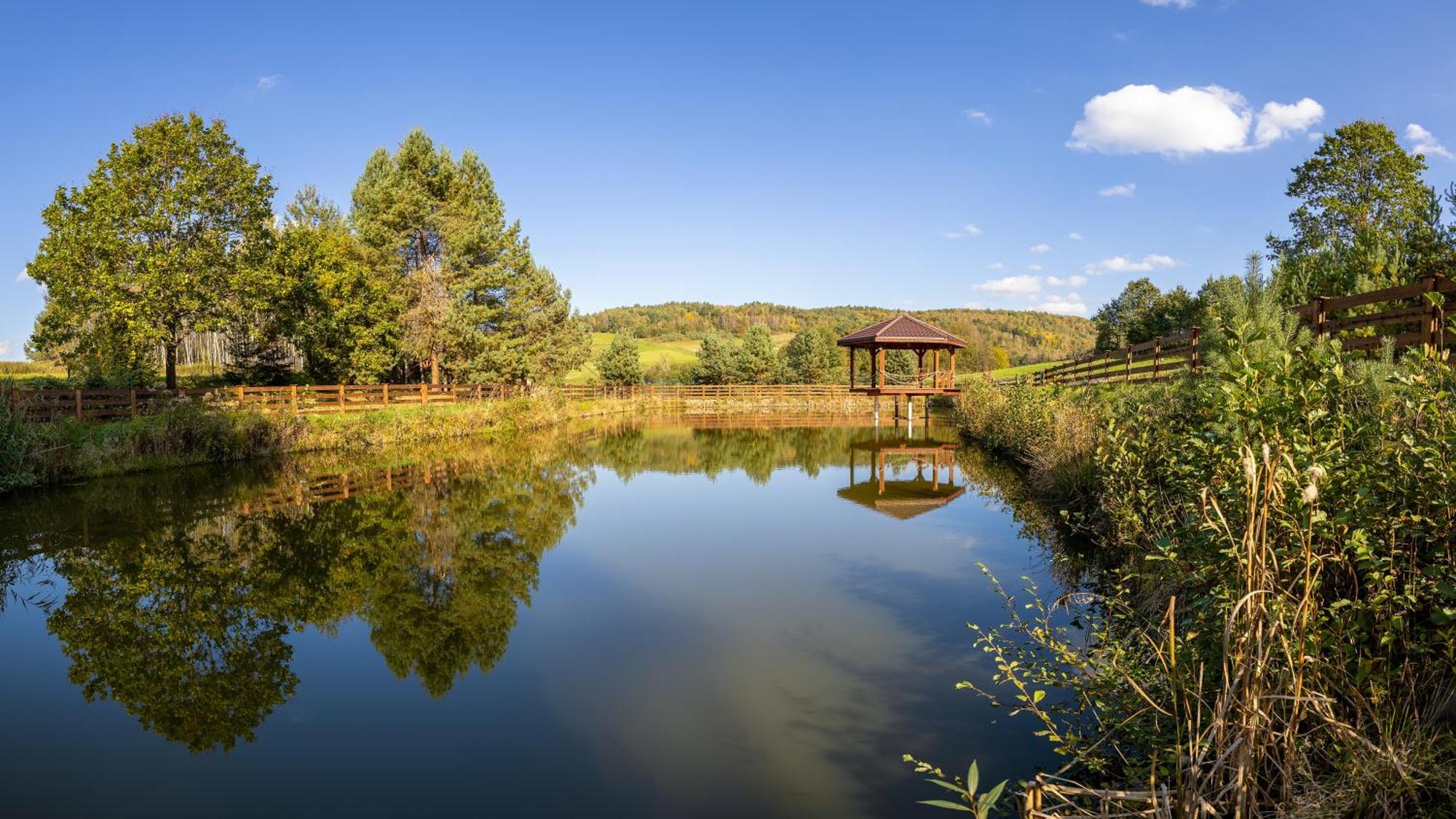 Glamping Pod Gwiazdami Pietrusza Wola Hotel Exterior foto