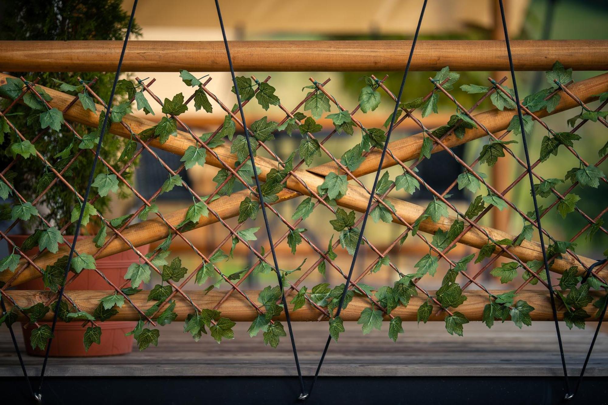 Glamping Pod Gwiazdami Pietrusza Wola Hotel Exterior foto