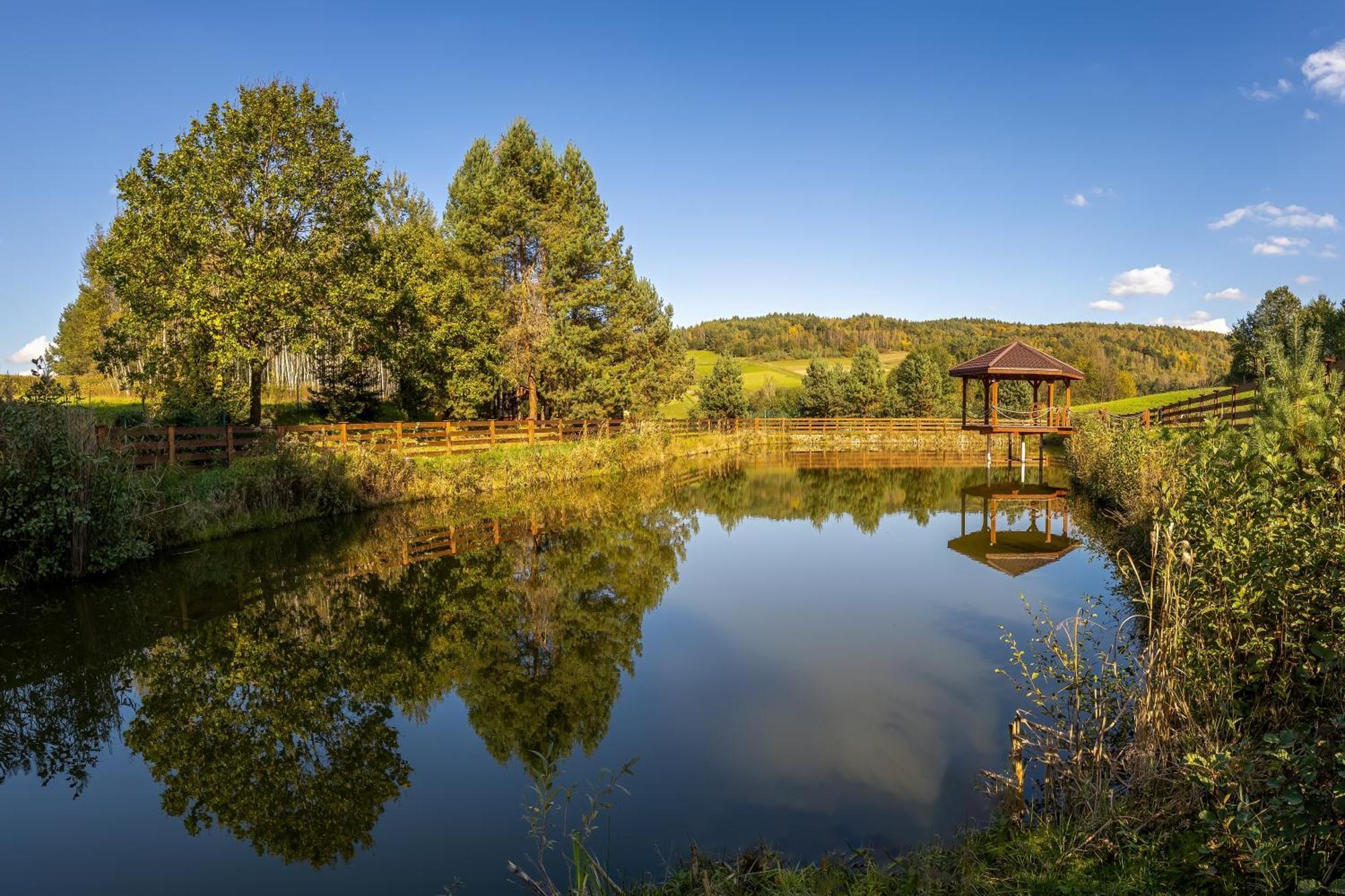 Glamping Pod Gwiazdami Pietrusza Wola Hotel Exterior foto