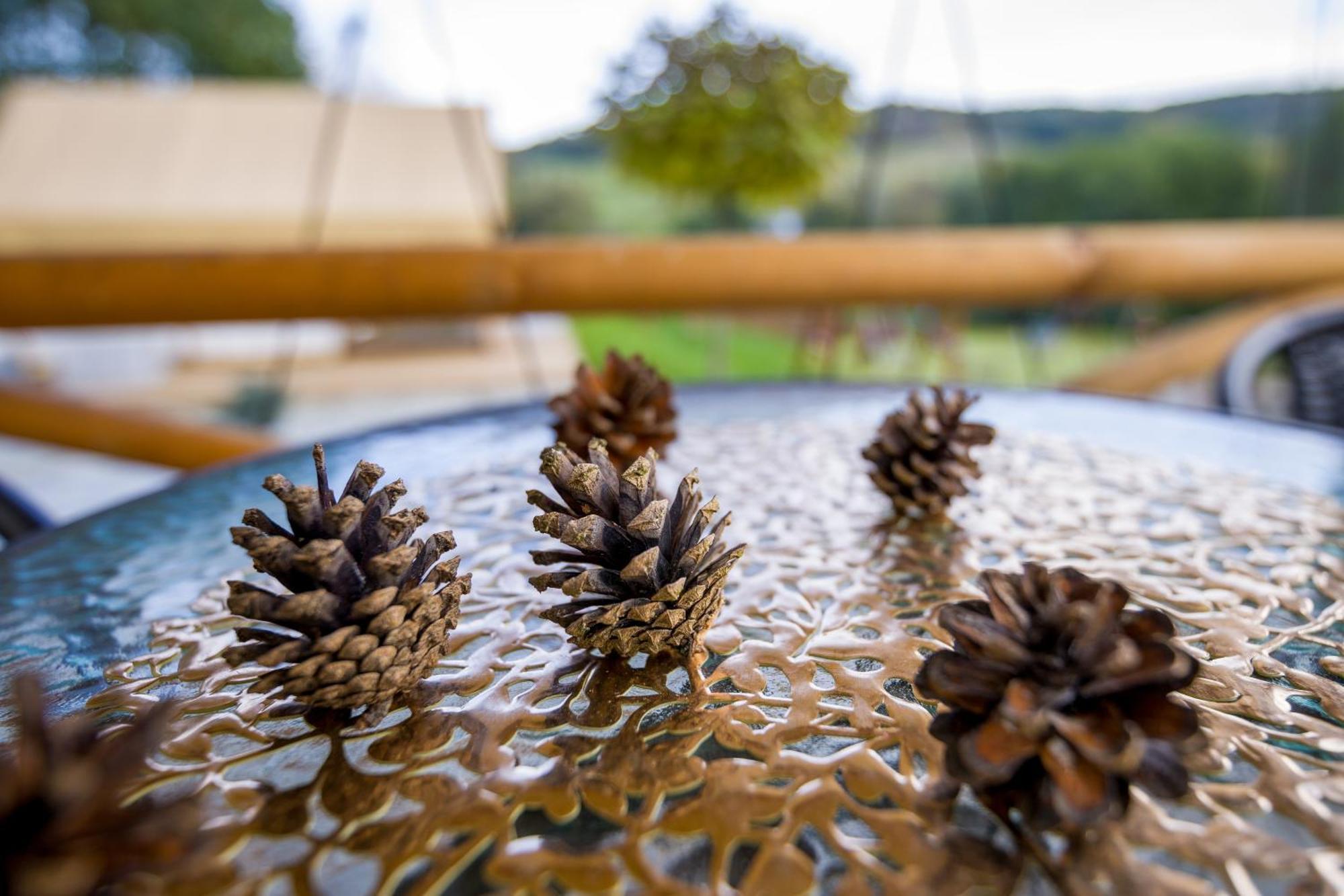 Glamping Pod Gwiazdami Pietrusza Wola Hotel Exterior foto