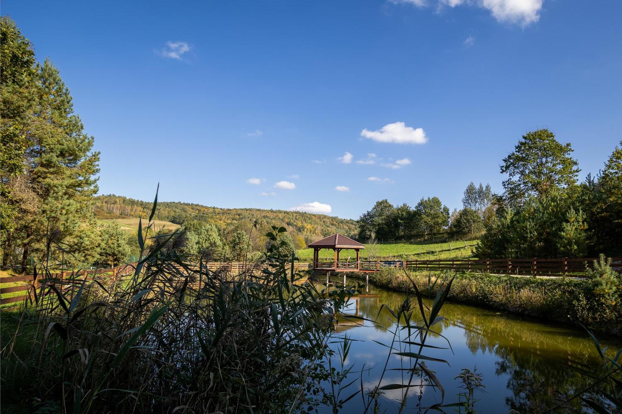 Glamping Pod Gwiazdami Pietrusza Wola Hotel Exterior foto